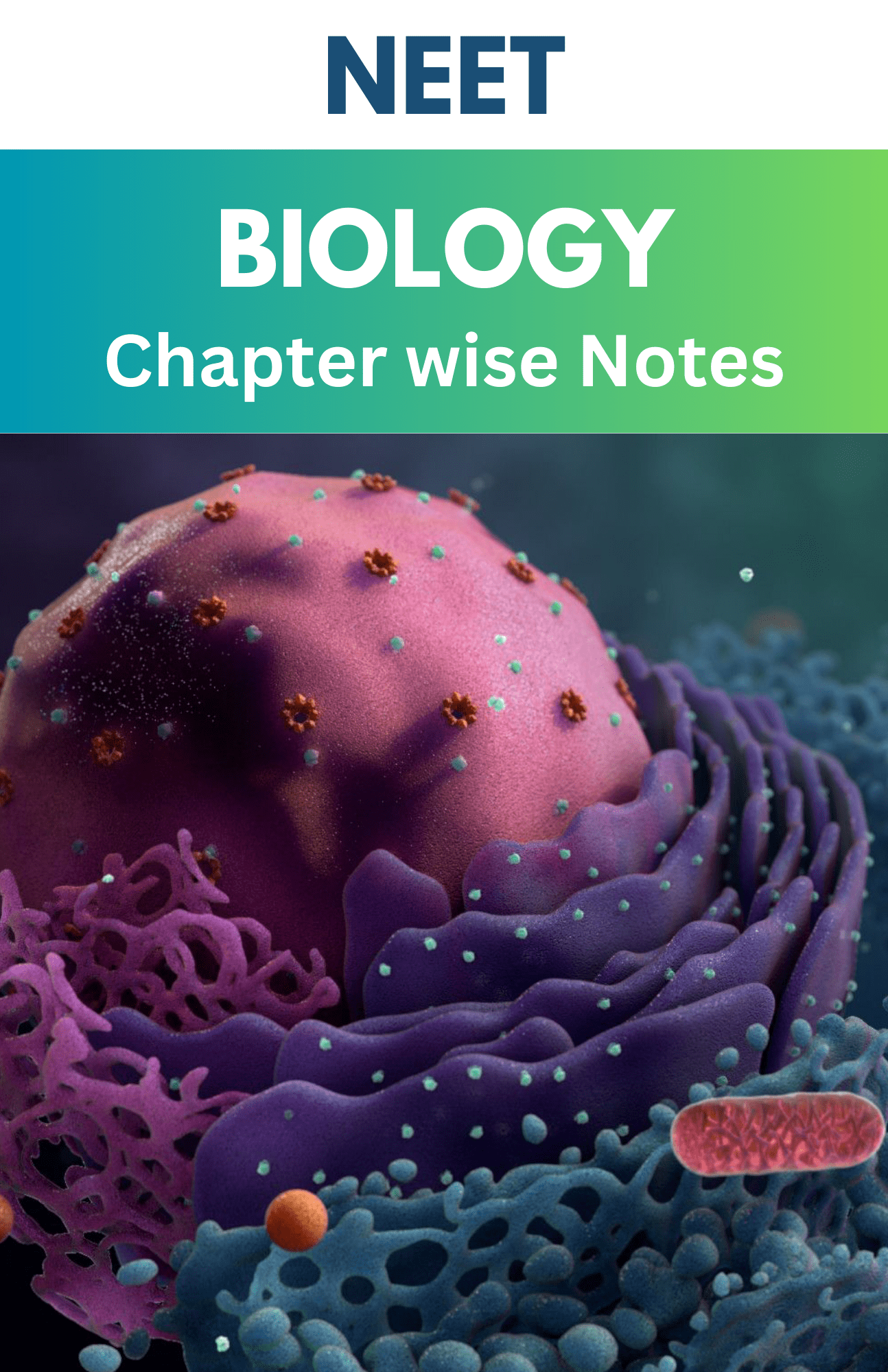 NEET Biology Notes
